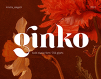 Ginko – Display Font