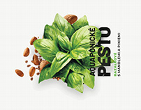 Packaging Design Pesto