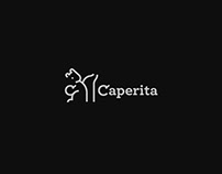 Caperita Financial Services