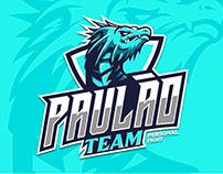 Branding - Paulão Team