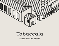 Tabaccaia