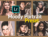 Moody Portrait preset free download