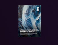 UNDP Strong Partnerships, Stronger Impact report