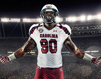 2013 University of South Carolina Football Campaign
