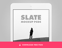 Slate Collection of Stylized Apple Products PSDs
