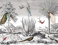 Wallpaper Birds in nature. Size 405*270cm, 150 dpi