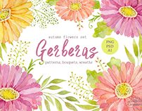 Watercolor set of gerbera flowers