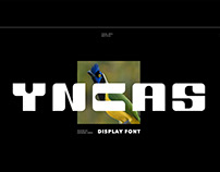 YNCAS display font // 2020
