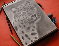 Graphite pencil drawing | Fastest wild cat, Cheetah!