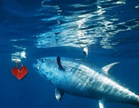 Tuna Overfishing