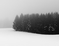 Snow Landscapes of Lower Saxony