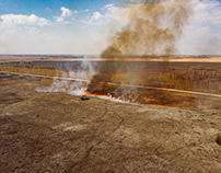 Fire On Field After Harvest In Autumn
