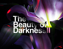 The Beauty of Darkness II