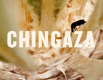 The Chingaza Moorlands