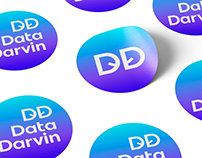 Corporate identity for IT company DataDarvin