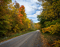Thanksgiving Weekend Fall Colour