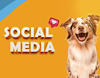 Social media - NF pet