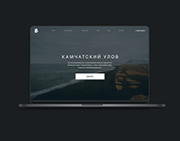 Редизайн сайта о рыбном промысле на Камчатке.