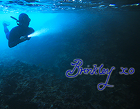 Ocean : Brinkley