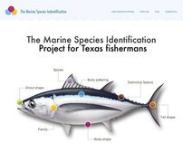 The marine species identification