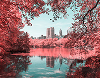 INFRARED NYC
