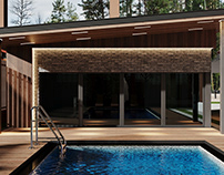 Modern spa house with the pool (Architectural project)
