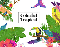 Colorful Tropical