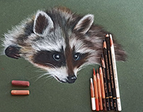 Racoon on soft pastel