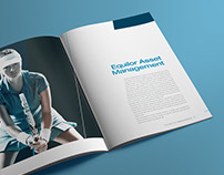 Equilor Investment Ltd. Annual Report 2016