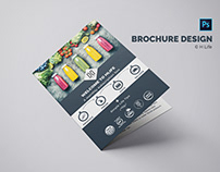 Brochure Design - H Life