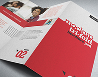 NT Photorealistic Mockup Trifold Brochure Z Style