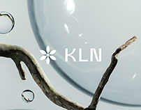 KLN Partners - Investment Firm Brand Identity Design
