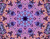Kaleidoscopics / Mandalas