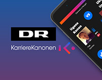 DR KarriereKanonen - website design