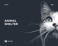 Animal shelter | WordPress Template