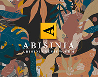 Abisinia Review: Imagen digital y Diseño web