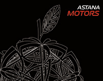Brandbook for Astana Motors