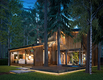 Eco-house in pine forest - SPA exterior