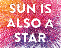 The Sun is Also a Star book cover