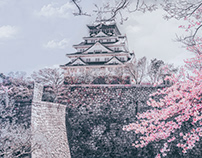 Japan Osaka Castle castle tower