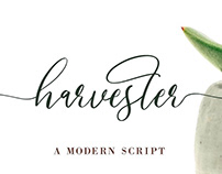 Harvester - Modern Script Font
