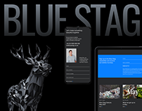 Дизайн-концепт сайта цифрового агентства Blue Stag