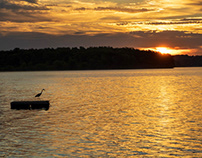 Sunrise on Rice Lake