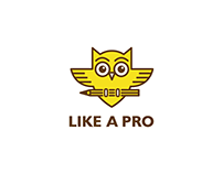 Like A Pro Logo Design