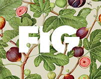 Figliulo & Partners Rebranding as FIG