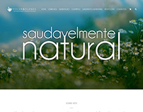 Folhas Solenes - Website Design