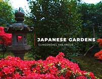 Camera & colorgrade test Japanese gardens The Hague