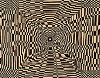 'Optical Illusions'