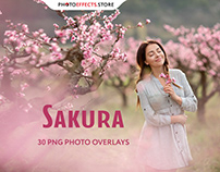 30 Sakura Photo Overlays