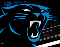 2018 Panther Video Boards